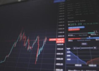 派币易货价格是多少 派币价格期货价格